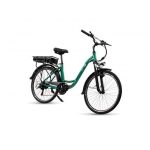EMG Funny - telaio in alluminio 17'', ruota 26'', freni V-brake, cambio Shimano, potenza 250W, batteria 36V 13Ah