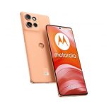 Motorola edge 50 16,9 cm (6.67'') Doppia SIM Android 14 5G USB tipo-C 12 GB 512 GB 5000 mAh Pesca