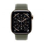 Apple Cinturino a maglie magnetico grigio salvia (42 mm) - S/M