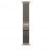 Apple Loop in maglia milanese in titanio naturale (49 mm) - Medium