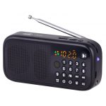 Trevi RADIO PORTATILE WIRELESS MP3 USB MICRO SD DR 7F40 BT