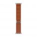 Apple Alpine Loop terracotta (49 mm) - Large - Titanio naturale