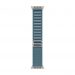 Apple Alpine Loop blu chiaro (49 mm) - Medium - Titanio naturale