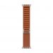 Apple Alpine Loop terracotta (49 mm) - Small - Titanio naturale