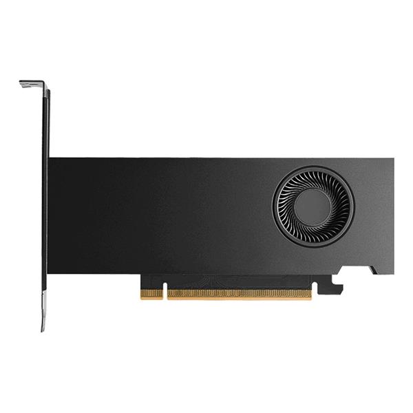 Dell DELL-818KR Workstation Edition Scheda Grafica RTX PRO 2000 16 GB GDDR7 PCIe 5.0 x8 colore Nero