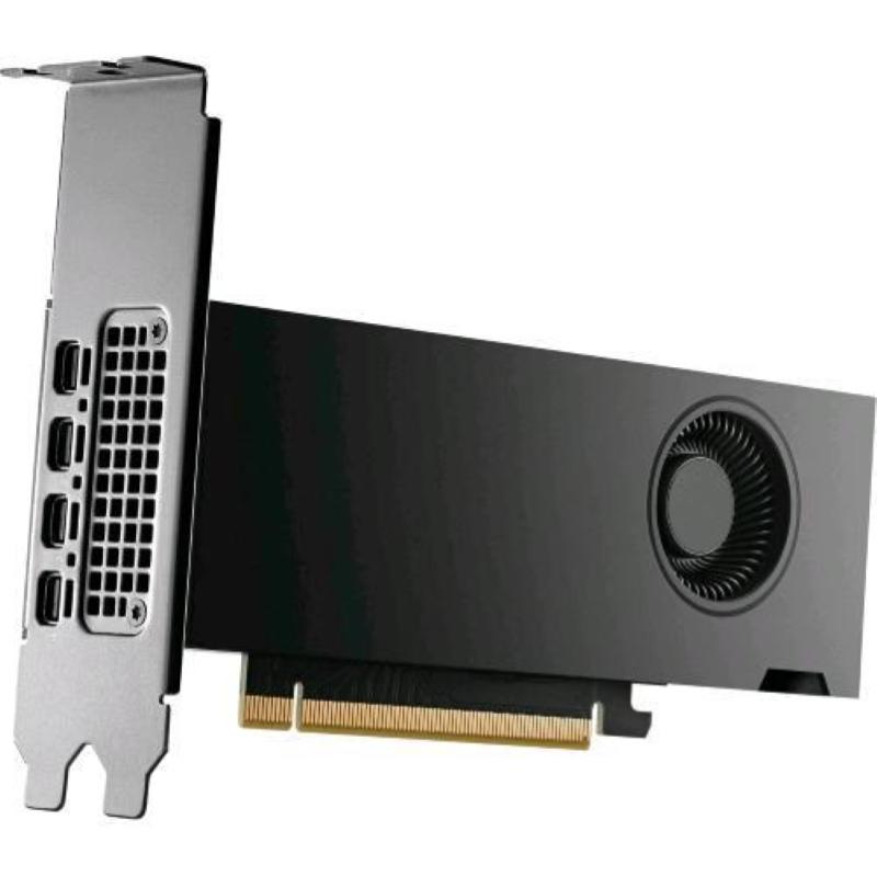 HP 8D6B8AA NVIDIA RTX PH x2xxx 4mDP Graphics Scheda Video GPU RTX 2000 Ada 16 GB GDDR6 4x Mini DisplayPort PCI Express 4.0 colore Nero