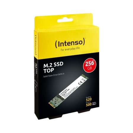 intenso-3832440-top-ssd-interno-m-2-sata-iii-256-gb-lettura Intenso 3832440 Top SSD Interno M.2 SATA III 256 GB Lettura 520 MB-s Scrittura 500 MB-s colore Nero