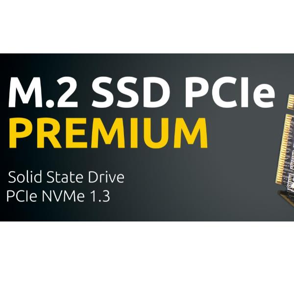 Intenso 3835440 Premium SSD Interno M.2 NVMe PCIe 3.0 x4 250 GB Velocita' Lettura 2100 MB-s Scrittura 1100 MB-s