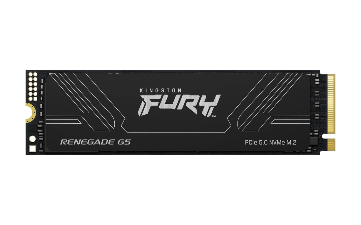 Kingston Technology SFYR2S-1T0 SSD 1TB Fury Renegade G5 NVMe M.2 2280 PCIe 5.0