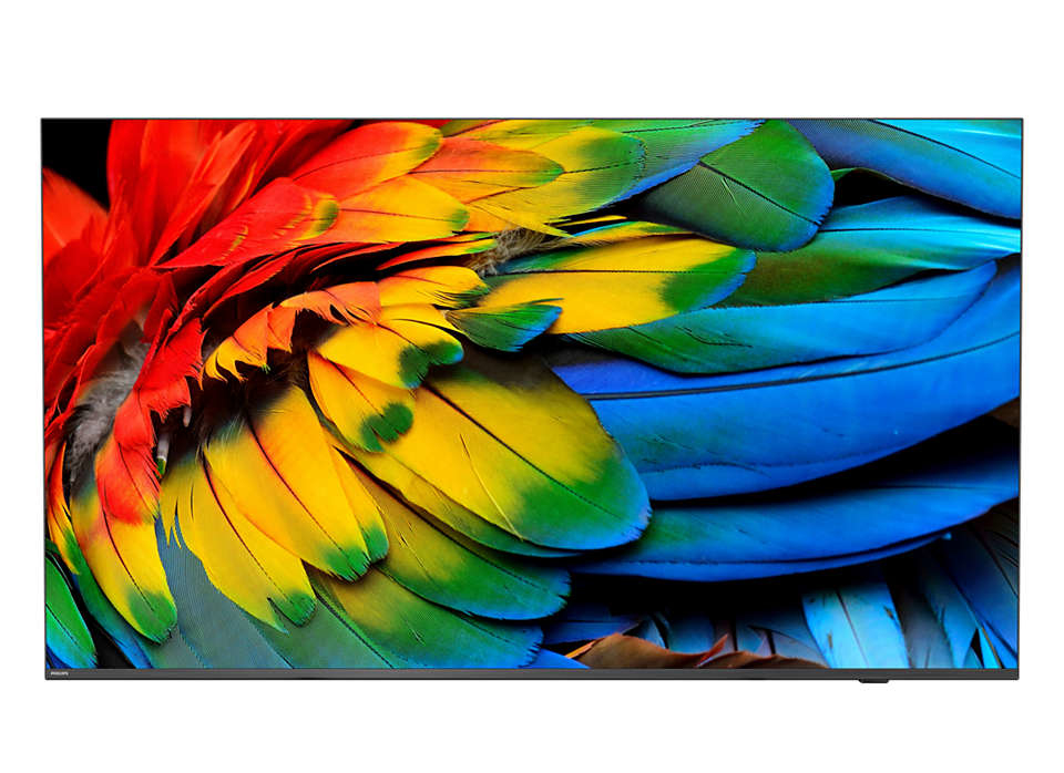 Philips 50HFL6214U-12 MediaSuite Smart TV LED 50'' 4K Ultra HD Android 9 Chromecast WiFi Modalita' Hotel Classe F colore Antracite